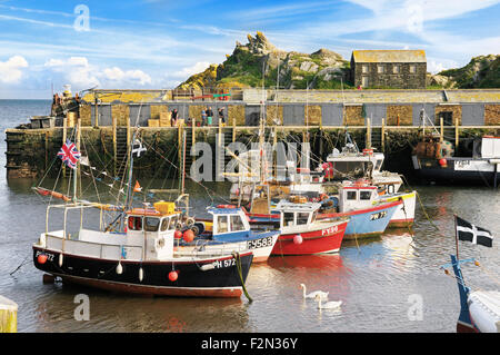 Barche da pesca ormeggiate a Polperro Harbour, Cornwall, Regno Unito Foto Stock