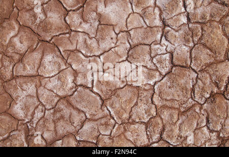 PRIMO PIANO DI FANGO ESSICCATO E INCRINATO IN SEGUITO A CONDIZIONI ESTREME DI DROUGH NELL'AUSTRALIA CENTRALE. Foto Stock