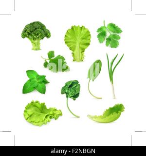 Green le verdure e le erbe impostare, organico cibo vegetariano, illustrazione di vettore isolato su sfondo bianco Illustrazione Vettoriale