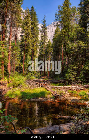 Yosemite Falls visto dalla foresta di seguito. Parco Nazionale di Yosemite in California Foto Stock