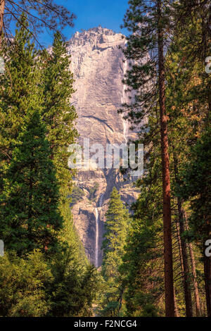 Cascate Yosemite vista dalla foresta di sequoie nel Parco Nazionale di Yosemite in California Foto Stock