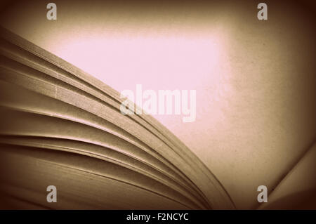 Libro aperto a una pagina vuota close up Foto Stock