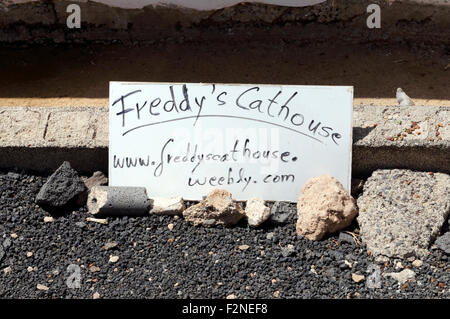 Freddies Casa Cat stazione di alimentazione, Rubicom Marina, Las Coloradas, Playa Blanca, Lanzarote, Isole Canarie, Spagna. Foto Stock