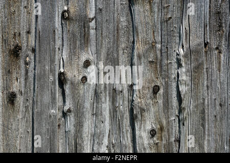 Vecchio weathered tavole di legno, doghe in legno su un vecchio fienile Benediktbeuern, Alta Baviera, Baviera, Germania Foto Stock