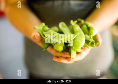 La donna caucasica holding freschi piselli a scatto Foto Stock