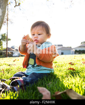 Ragazzo ispanico giocando in foglie in posizione di parcheggio Foto Stock