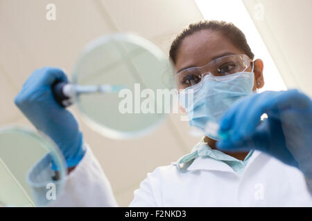 Razza mista scienziato il pipettaggio in campione in laboratorio Foto Stock