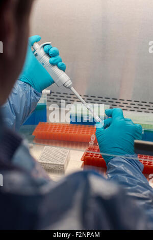 Razza mista scienziato soluzione di pipettaggio in tubi di test in laboratorio Foto Stock