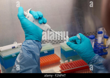 Razza mista scienziato soluzione di pipettaggio in tubi di test in laboratorio Foto Stock
