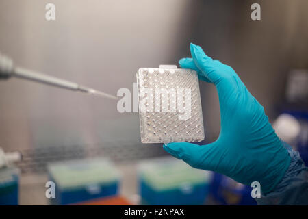 Razza mista scienziato il pipettaggio di soluzione nel contenitore in lab Foto Stock