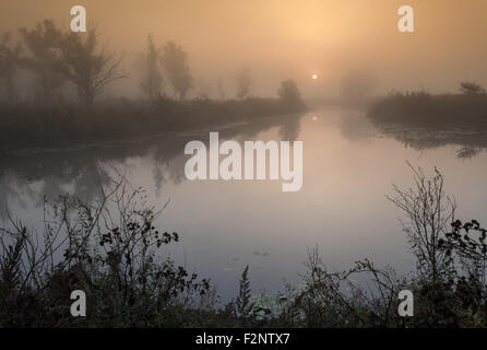 Una bella foggy sunrise, autunno, europa, Ucraina Foto Stock