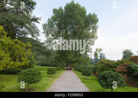 Casa Tyntesfield motivi vicino a Bristol North Somerset REGNO UNITO Inghilterra vittoriana mansion house station wagon Foto Stock