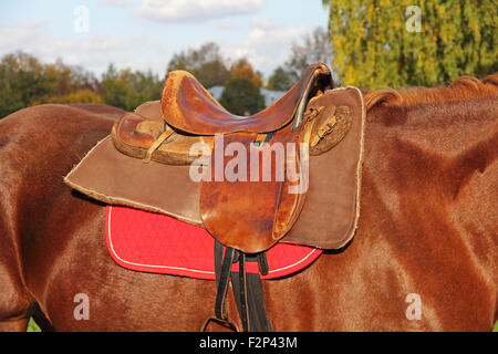 Cacciato sulla sella di un cavallo marrone presa closeup. Foto Stock