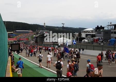 2015 Formula 1 guscio Gran Premio del Belgio, Spa. Foto Stock