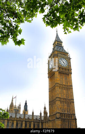 Il clocktower del Big Ben di Westminster a Londra, Inghilterra Foto Stock