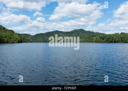 Lago Summersville in West Virginia, Stati Uniti d'America Foto Stock