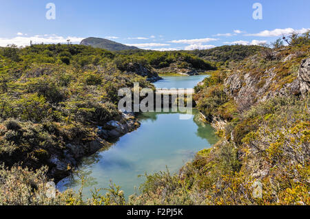 Beaver Dam, Tierra del Fuego National Park, Ushuaia, Argentina Foto Stock