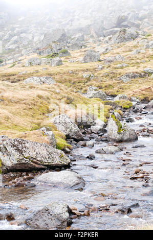 Nel fiume Riutort Valley, vicino lago Laparan, in un giorno di nebbia. Pirenei francesi. Ariège. La Francia. Foto Stock