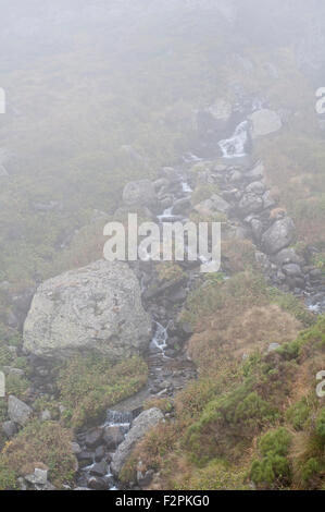 Flusso in Riutort Valley, vicino lago Laparan, in un giorno di nebbia. Pirenei francesi. Ariège. La Francia. Foto Stock