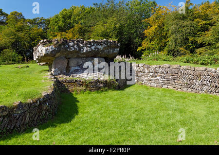 Tinkinswood sepoltura camera, St Nicholas,Vale of Glamorgan, South Wales, Regno Unito. Foto Stock