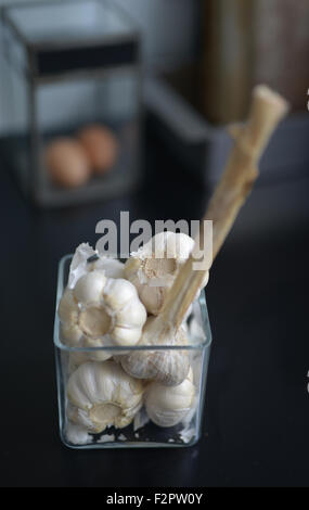 Tutto bulbi di aglio in un quadrato vaso di vetro Foto Stock