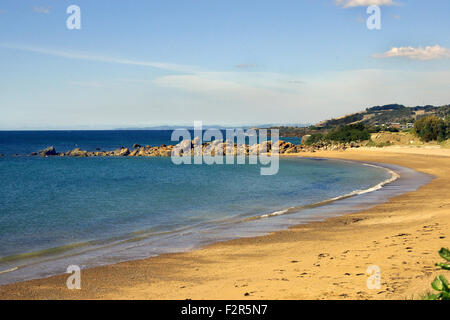 Scena costiera, pinguino in Tasmania, Australia. Foto Stock