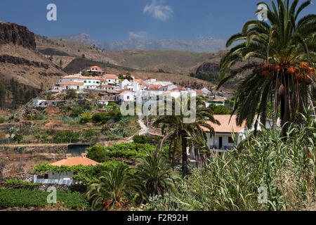Vista in direzione di Fataga, Gran Canaria Isole Canarie Spagna Foto Stock
