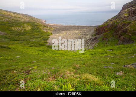 Paesaggi del nord sulle rive del Mare di Barents Foto Stock