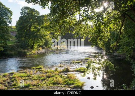 Una immagine di panorama del fiume usura Finchale Abby Durham Regno Unito Foto Stock