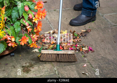 Giardiniere spazzando su autunno trascorso fiori e foglie su un percorso da giardino Foto Stock