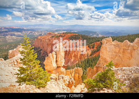 Le formazioni rocciose nel Parco Nazionale di Bryce Canyon, Utah, Stati Uniti d'America. Foto Stock