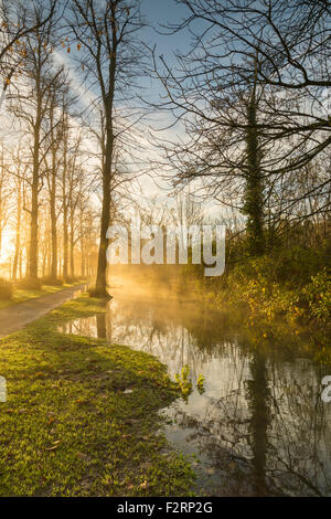 Mattina nebbiosa Foto Stock