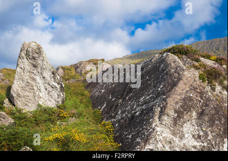 La Caha Montagne, Vicino Glengarriff, Beara, nella contea di Cork Foto Stock