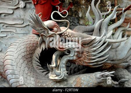 Mian Yang, Cina: Dettaglio di un drago scolpito la scultura al Sheng Shui tempio buddista Foto Stock