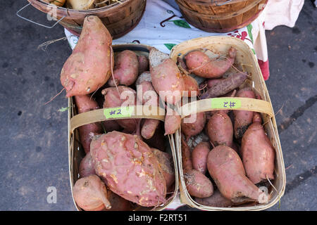 Produzione locale di patate dolci in mostra presso il Mercato degli Agricoltori lungo la strada principale del centro cittadino di Greenville nella Carolina del Sud. Foto Stock