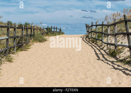 Percorso vuoto alla spiaggia Foto Stock