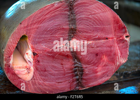 Mercato ittico del tonno a Galle, Sri Lanka Foto Stock