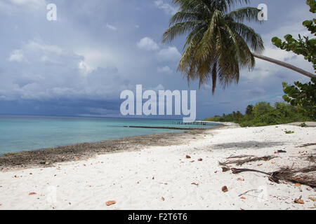 Spiaggia, Maria La Gorda, Cuba Foto Stock