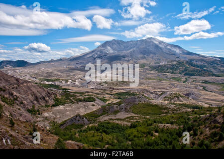 Il Monte Sant Helens in estate Foto Stock