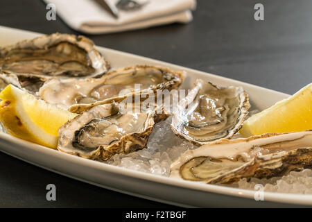 Ostriche fresche su ghiaccio con il limone Foto Stock