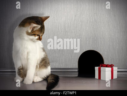 Concetto di trappola, gatto con il dono in prossimità di un foro del mouse Foto Stock