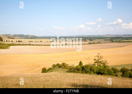 Chalk ripida scarpata la pendenza e la Vale of Pewsey guardando ad est dal vicino ad Alton Barnes, Wiltshire, Inghilterra, Regno Unito Foto Stock