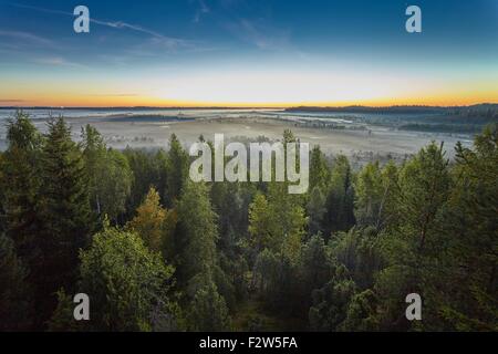 Sunrise nelle nebbiose palude. Bella la luce del mattino nell'orizzonte proprio prima che il sole sorge. Foto Stock