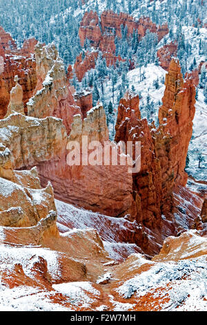 La coperta di neve canyon di Bryce Canyon National Park, Utah Foto Stock