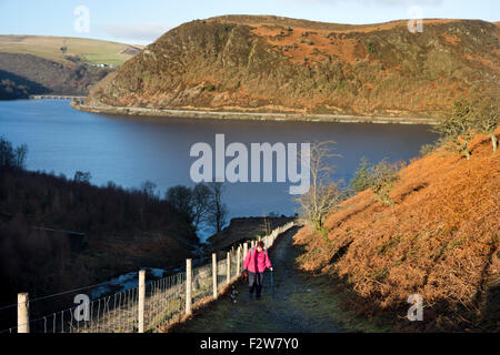Una giornata invernale a Caban-coch serbatoio, Elan Valley vicino a Rhayader, Wales, Regno Unito Foto Stock