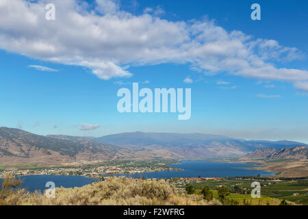 Vigneti in zone deserte della parte meridionale della Valle di Okanagan affacciato sul lago Osoyoos, British Columbia, Canada. Foto Stock