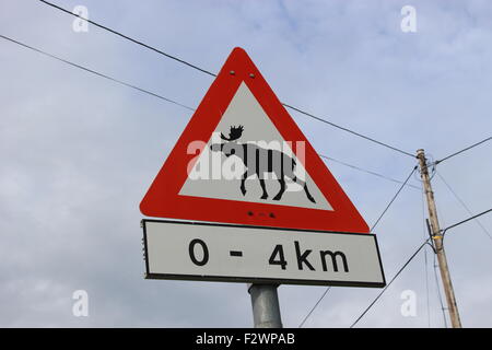 Avvertenza di alci che attraversa la strada. Norvegia, Europa Foto Stock