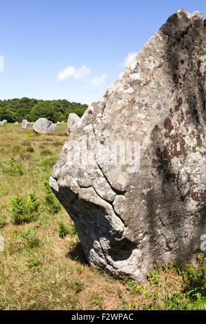 Alcuni dei più di 3000 pietre permanente dal neolitico a Carnac, Brittany, Francia Foto Stock