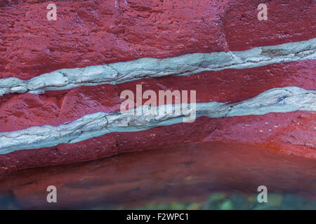 Argillite sedimentaria strati minerali in Lost Horse Creek, il Red Rock Canyon, il Parco Nazionale dei laghi di Waterton, Alberta, Canada Foto Stock