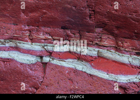 Argillite sedimentaria strati minerali in Lost Horse Creek, il Red Rock Canyon, il Parco Nazionale dei laghi di Waterton, Alberta, Canada Foto Stock